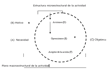Estructura interna de la actividad humana
